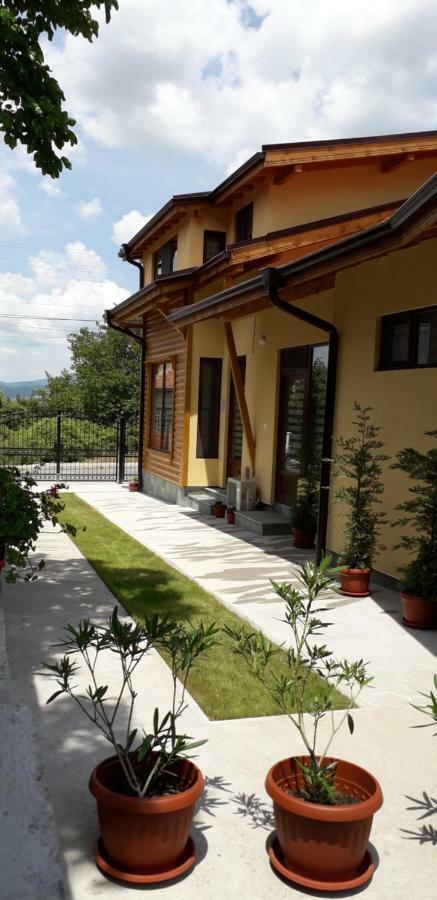 Guest House Ideal Saparewa Banja Exterior foto