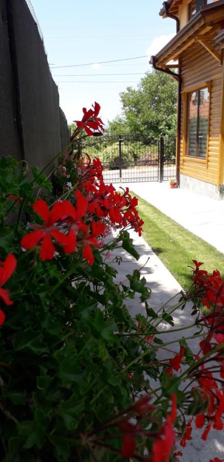 Guest House Ideal Saparewa Banja Exterior foto